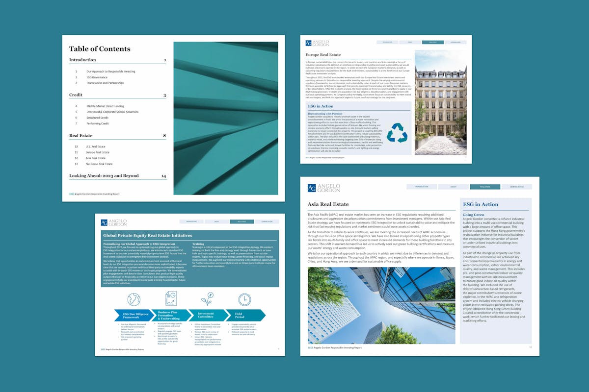 Ag report pages